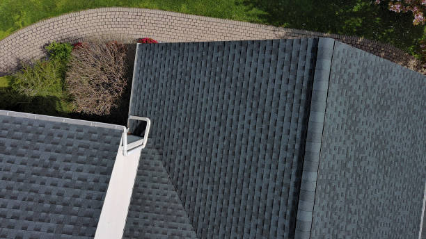 Best Roof Maintenance and Cleaning  in USA